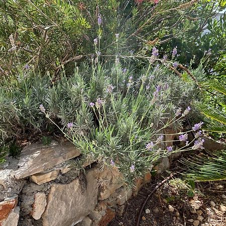 Villa Oleana Makarska Kültér fotó