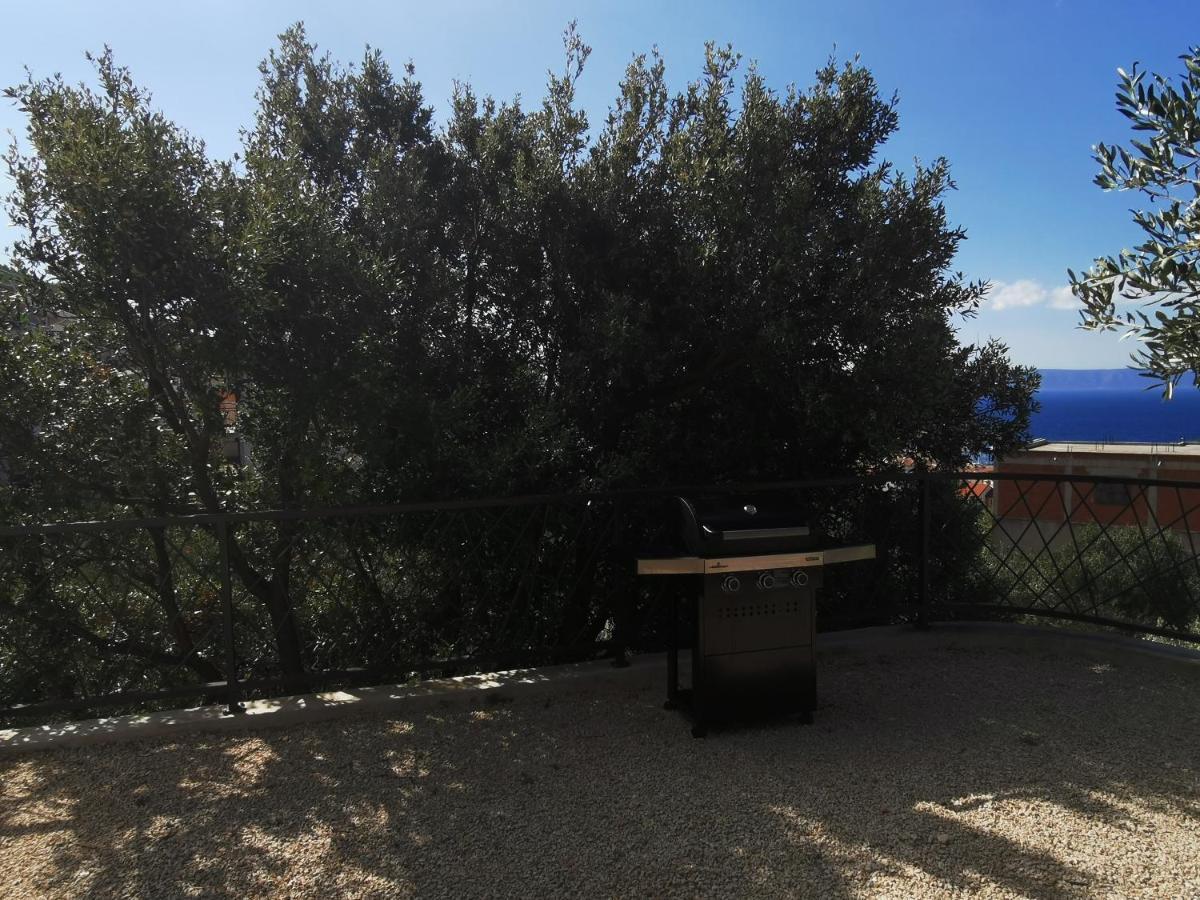 Villa Oleana Makarska Kültér fotó