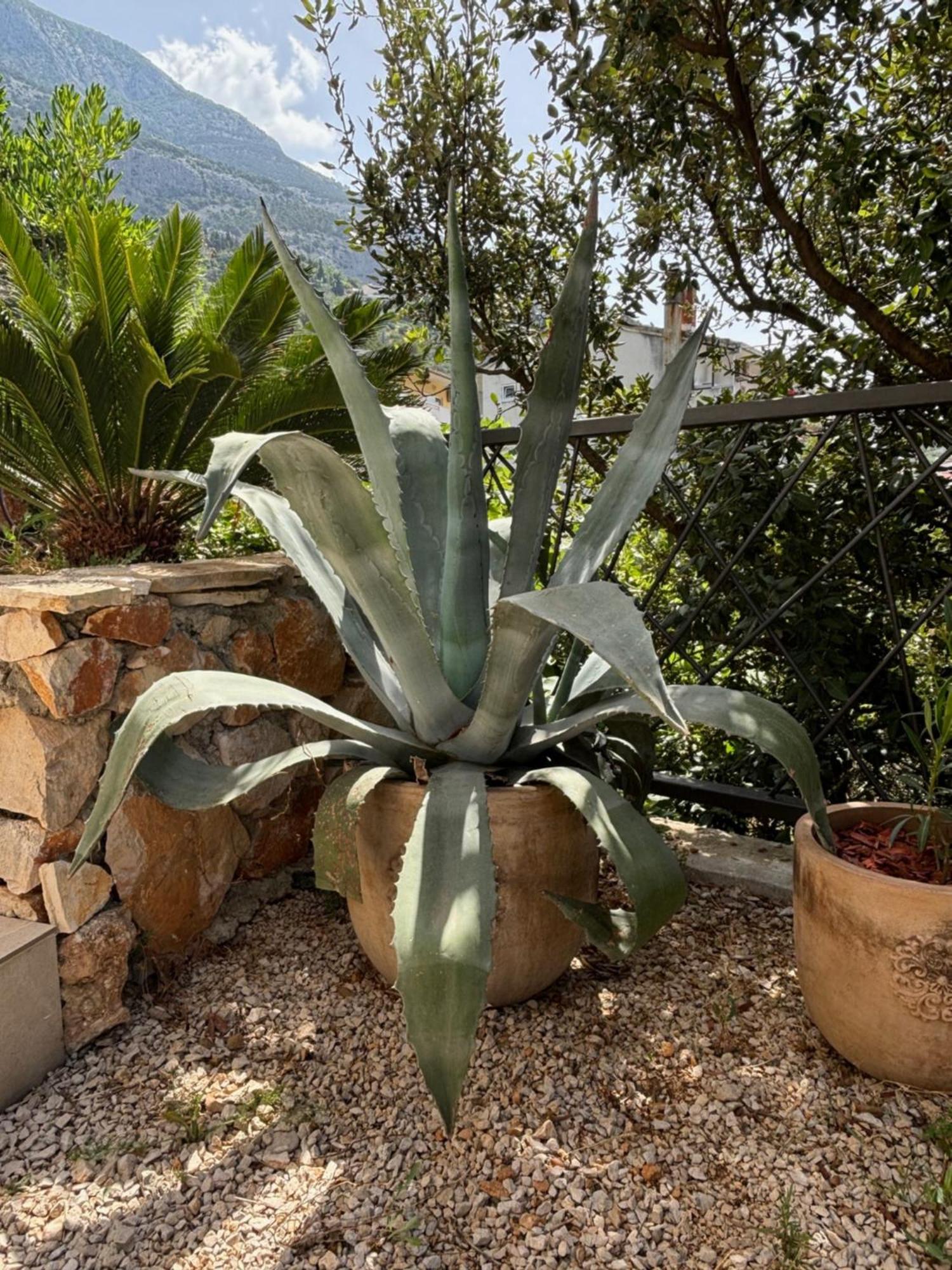 Villa Oleana Makarska Kültér fotó